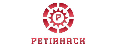 petir+hack Mendigitalkan Kreativitas Lokal Ekspansi Global